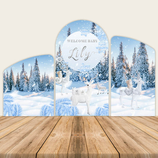 Winter Wonderland Chiara Arched Covers-ubackdrop